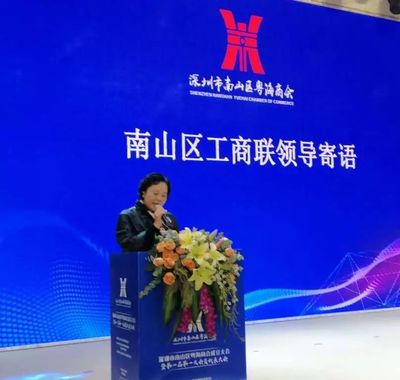 南山首個(gè)街道商會(huì)成立，匯聚業(yè)界精英，賦能企業(yè)市場(chǎng)開發(fā)新篇章